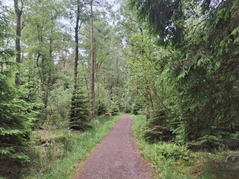 Lyssningstips: Göra upp med sina föräldrar innan de dör?
